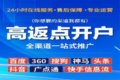 百度广告投放策略优化的经典案例